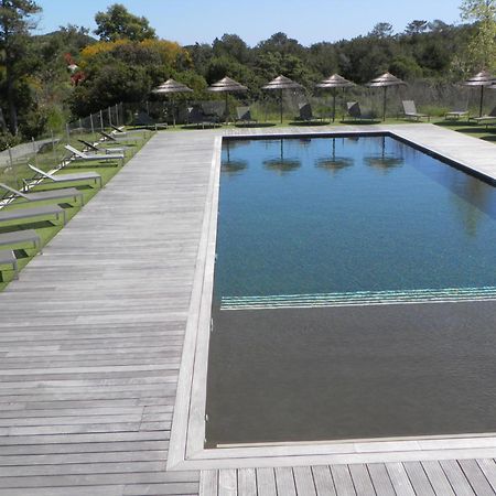 Studio 4 Pers Piscine Chauffee Acces A Pied A La Plage Santa Giulia Порто-Векио Екстериор снимка